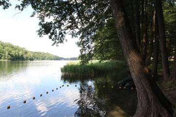 Фото номера Бунгало Делюкс Курортные отели Zacisze PL г. Лагув 7